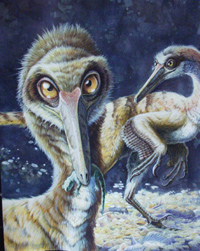 Dromaeosaurus